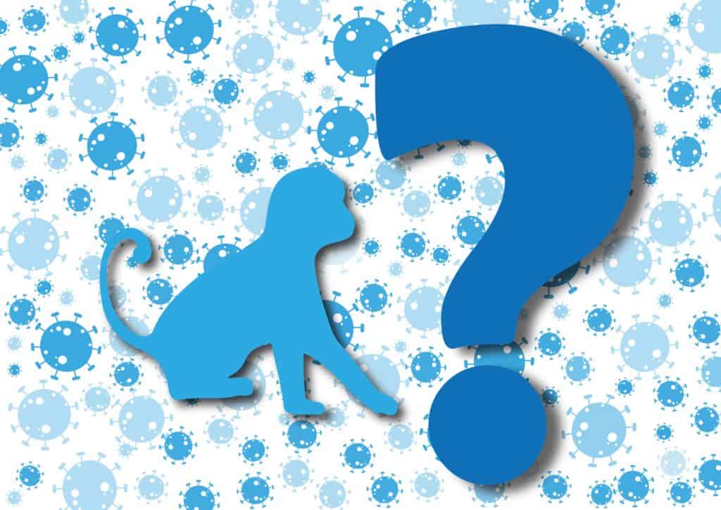 What Is Monkeypox - The No# 1 - In & Out Guide 2 AVtalkz.com, Monkeypox, Symptoms of Monkeypox